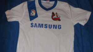 Descripción de la imagen