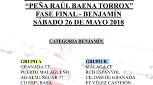 Descripción de la imagen