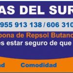 RICOGAS DEL SUR
